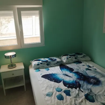 Mariposa Azul Icod de los Vinos