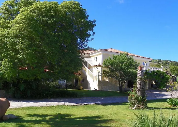 Mariposa Azul Appartement Icod De Los Vinos