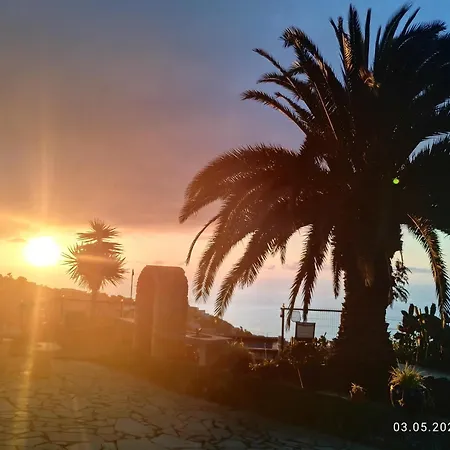 Mariposa Azul Icod de los Vinos