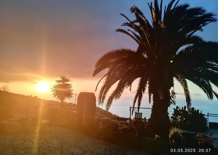 Mariposa Azul Icod de los Vinos