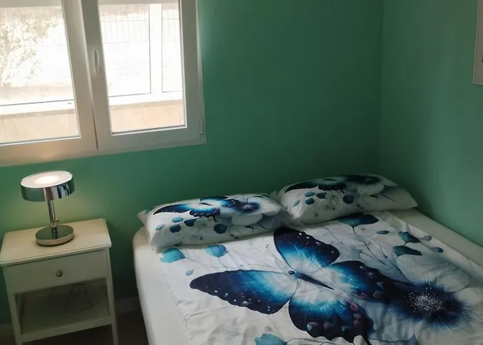 Mariposa Azul Icod de los Vinos